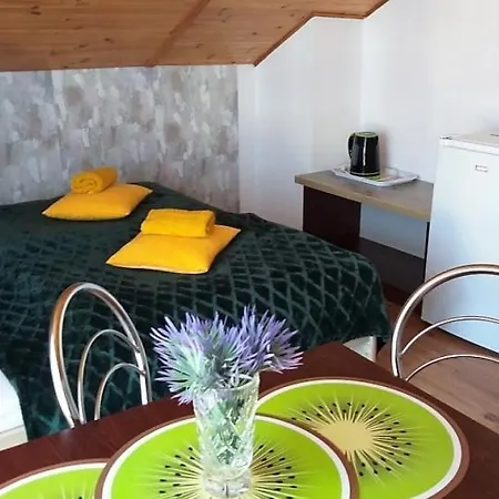 Homestay U Bozeny *