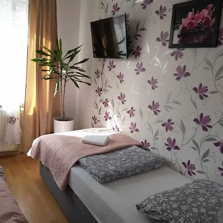 U Bozeny Homestay
